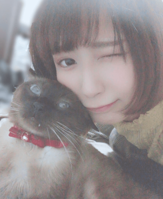 小森めとの中の人のミルモの顔写真3