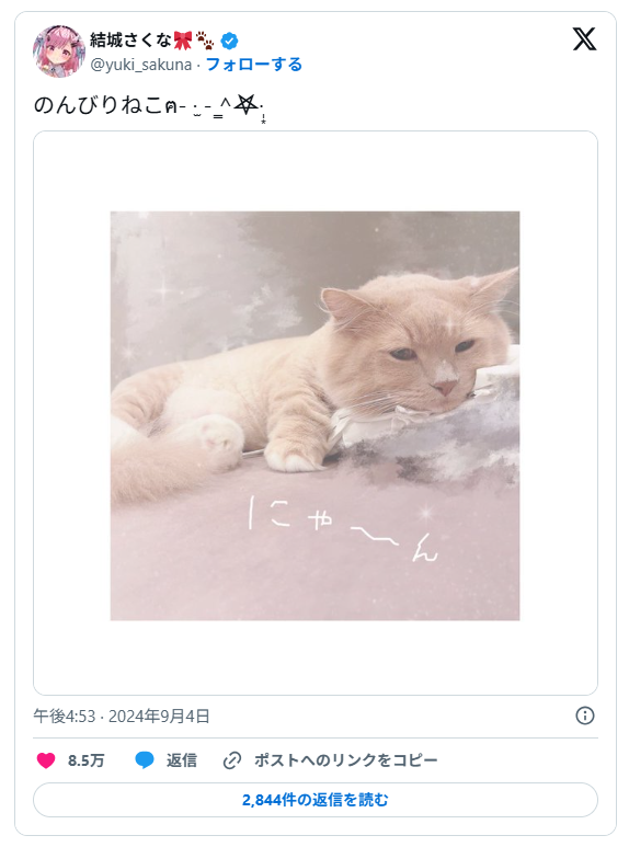 結城さくなさんの飼い猫の画像