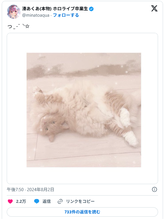 湊あくあさんが投稿していた飼い猫の画像