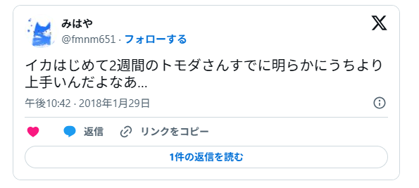 アイム民族/トモダさんも「スプラトゥーンが大好き」
