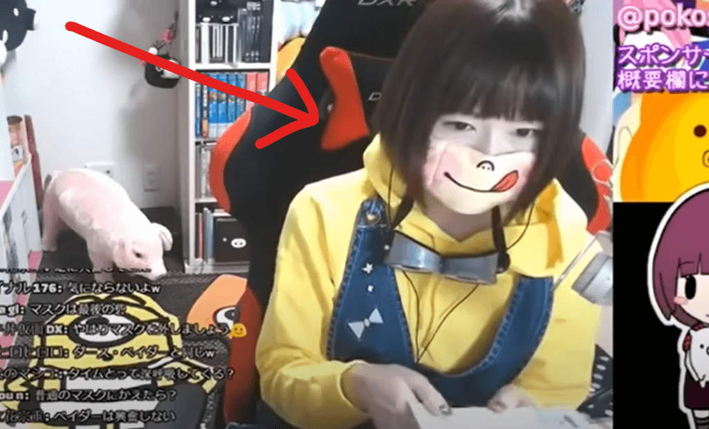 中の人の顔写真