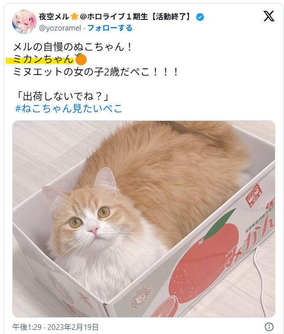 愛猫の名前が同じ「ミカンちゃん」