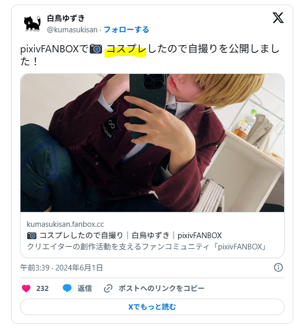 コスプレイヤーとしての活動