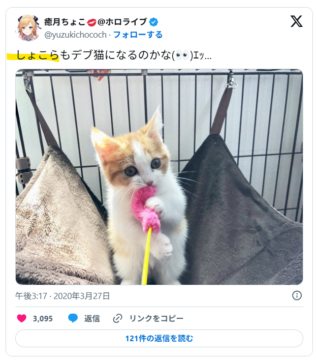 飼い猫の名前が同じ
