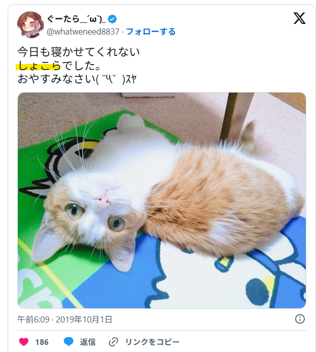 名前は「しょこら」