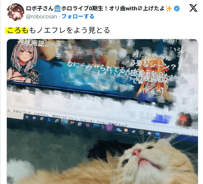 ロボ子さんの猫:ころも
