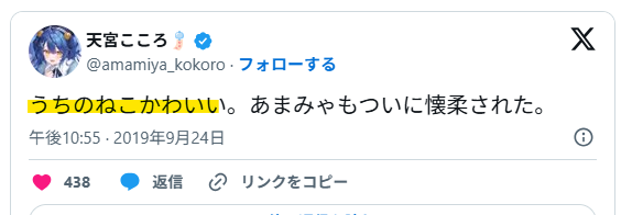 天宮こころの猫