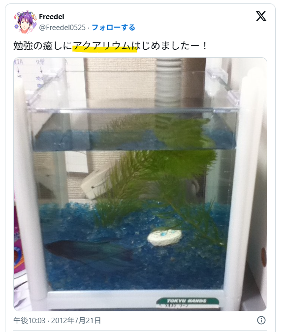 趣味がアクアリウム