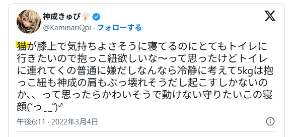 猫を飼っている