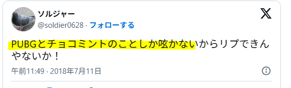 チョコミントが好き