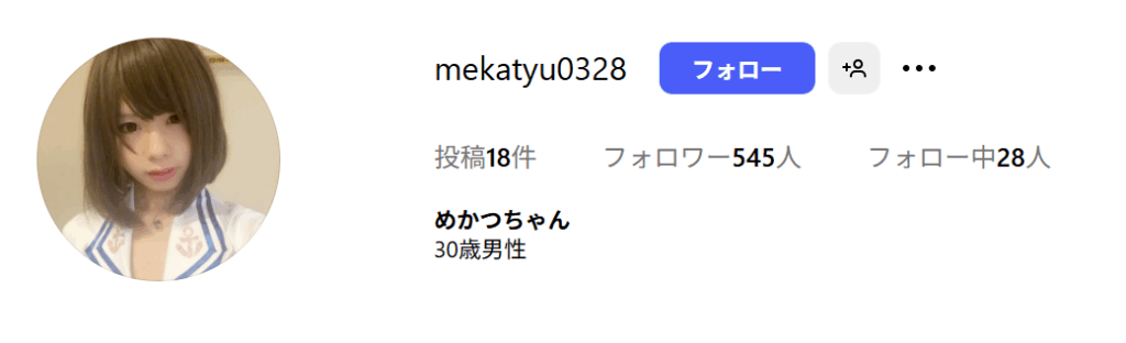 めかつちゃんのプロフィール表