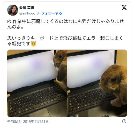 配信準備