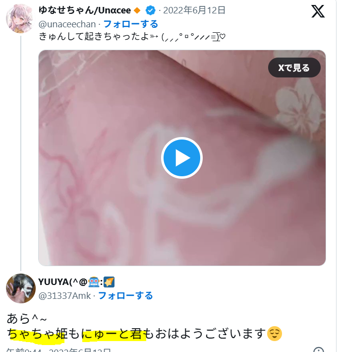 ゆなせの猫:ちゃちゃ姫とにゅーと