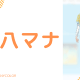 まとめ!緋八マナの前世と中の人の顔バレ,年齢,結婚や炎上を調査