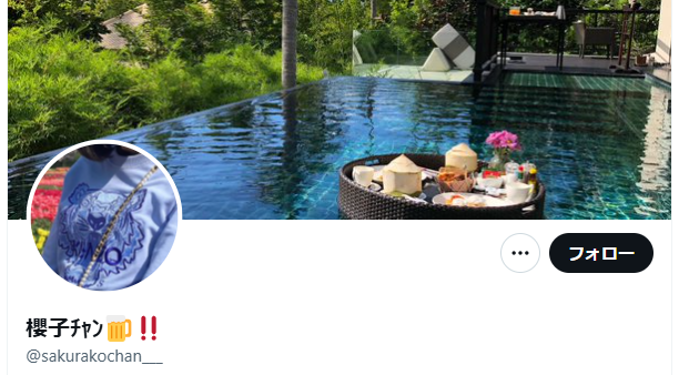 櫻子チャンのプロフィール表