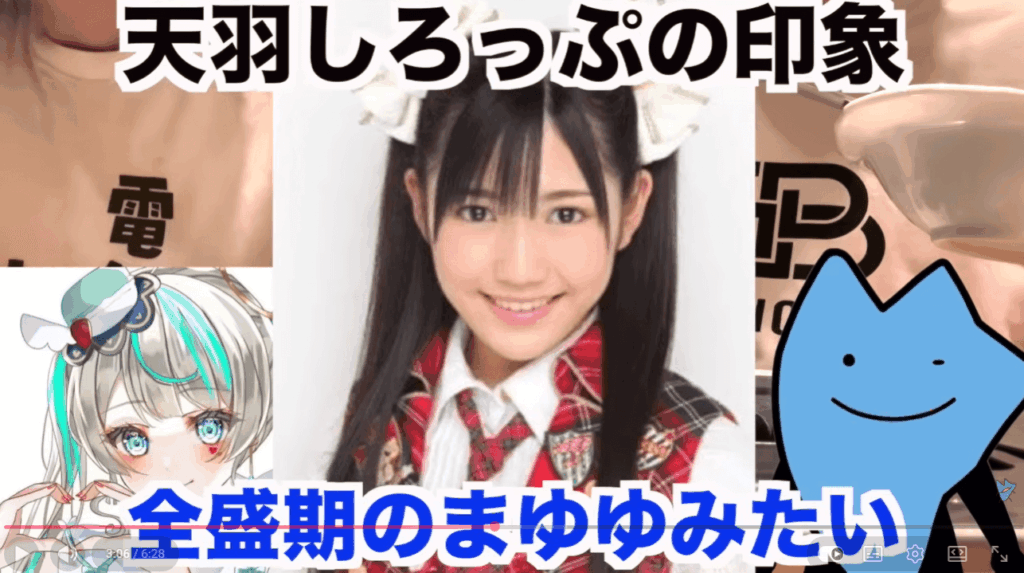 顔は渡辺麻友に似ている