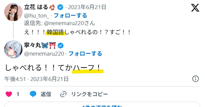 寧々丸も日韓ハーフ
